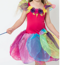 Load image into Gallery viewer, Wish Fairy Dress